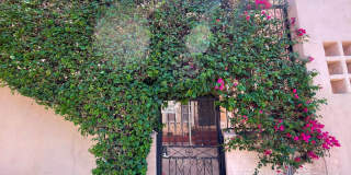 5351  Louis Place LLC Gallery 1