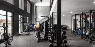 The Lincoln Gallery 11