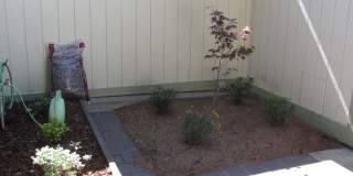 King Courts Condo! Backs to the Park! Blocks from Downtown SLO Gallery 11