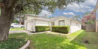 3926 Privet Place Gallery 3