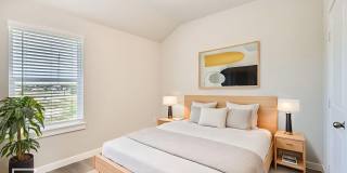 JASPER PLAN Gallery 7