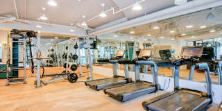 Windsor at Dogpatch Gallery 24