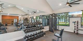 The Sophia Gallery 31