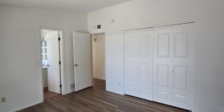 2351 W Placita Algodon Gallery 22