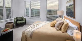 The 305, a Broadstone Community Gallery 29