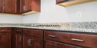 12229 FALLEN TIMBERS CIR Gallery 9