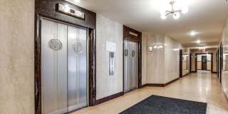 Amber Union Gallery 56