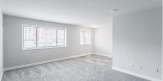 Swift at Riverdale Park Gallery 8