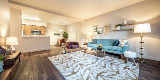 The McKenzie Gallery 2