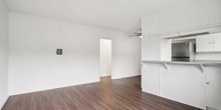 El Dorado Gallery 14