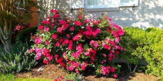 1723 Oakcrest Dr Gallery 21