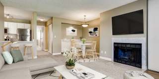 Canterra at Fitzsimons Gallery 1