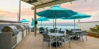 1770 Avenida Del Mundo #206 1770 Avenida Del Mundo #206 Gallery 21