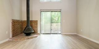 Rosen at North Hills Gallery 7