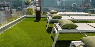 Little Zoe Gallery 26