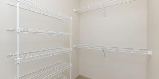 RIZE at Winter Springs Gallery 146