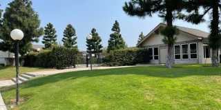 3 Bed + 1.5 Bath + 2 Car Garage Gallery 20