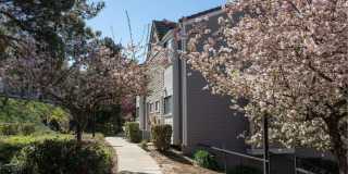 Kirker Creek Gallery 27