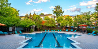 The Reserve at Cary Park The Reserve at Cary Park Gallery 17