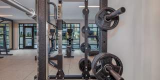 The Alder Gallery 25