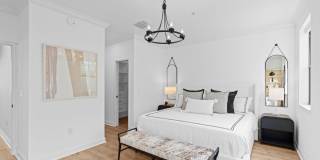 687 Hibiscus Street Gallery 17