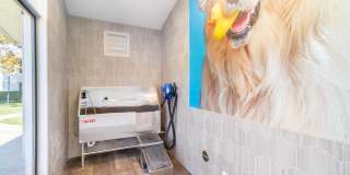 Chaparral Apartments Gallery 18