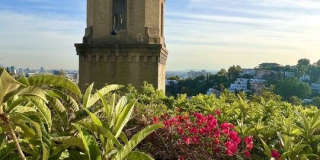 2185 BROADVIEW Ter unit: Lower Gallery 4