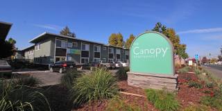 The Canopy Gallery 36