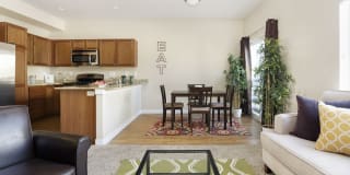 Olympus at The District Gallery 9