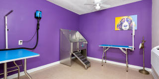 Bradenton Reserve Gallery 15