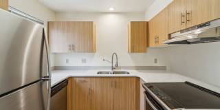 Native Sun Gallery 3