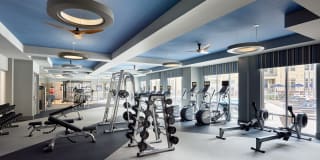 Evolution at Towne Centre Gallery 23