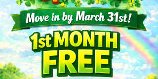 Charming One-Bedroom, One-Bathroom Apartment in Savannah Gallery 1