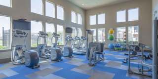 Century Palm Bluff Gallery 17