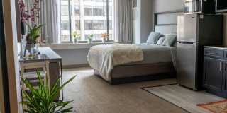 Vivo Living Gallery 5