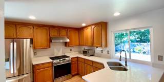 Stunning 4 Bedroom/2.5 bath- Move-In Ready Home with Private Backyard Stunning 4 Bedroom/2.5 bath- Move-In Ready Home with Private Backyard Gallery 8