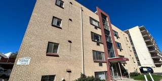 Ogden Arms Gallery 2