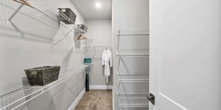 The Laney Gallery 34