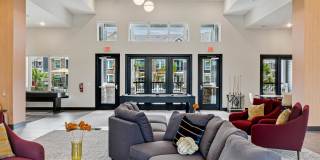 Virtuo Spring Gallery 15