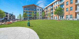 Alta at the Farm Gallery 33