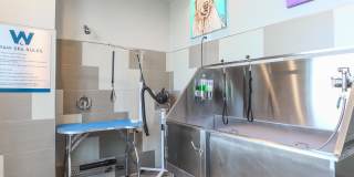 Waterfront at the Marina Gallery 10