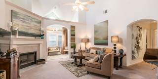 Palmetto Creek Gallery 1