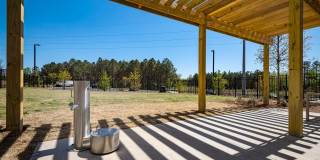 Bexley Sugarloaf Gallery 30