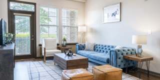 Bluebird Row Gallery 41