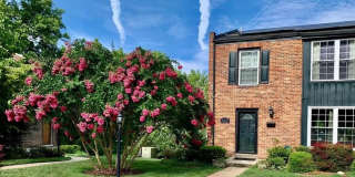 516 MEADOW HALL Drive Gallery 1