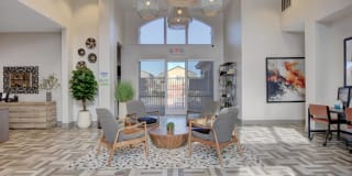 The Dresden Gallery 1