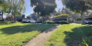 11 Montsalas Dr Gallery 26