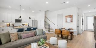 Vireo Twelve Oaks Gallery 5
