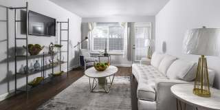 Orchard Park Gallery 5