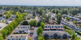 Olympic Village Gallery 15